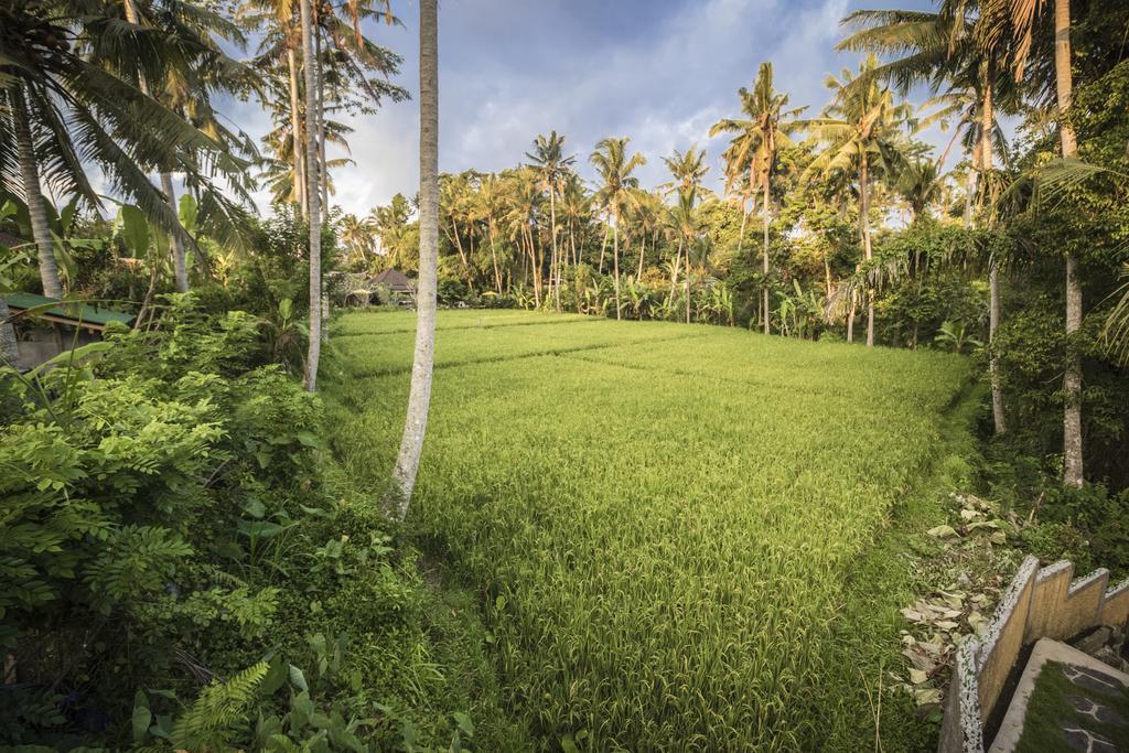 Junjungan Serenity Villas & Spa Ubud Exterior foto