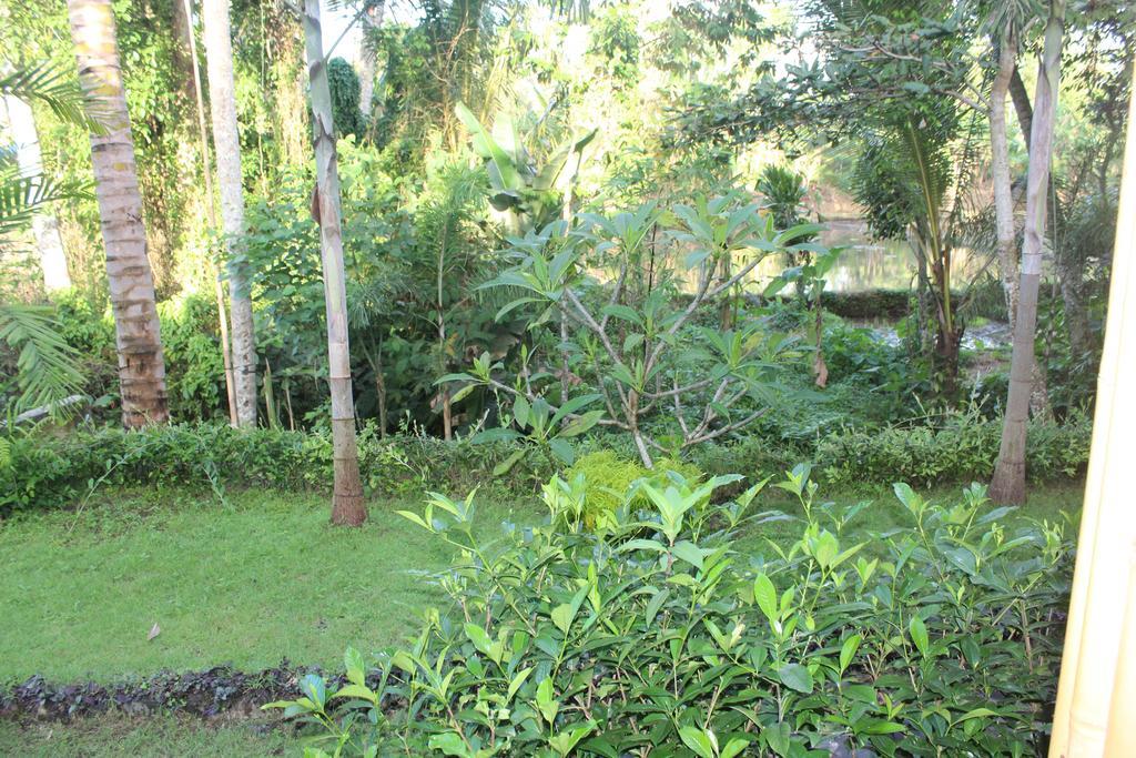 Serenity Ubud Villa & Spa Exterior foto